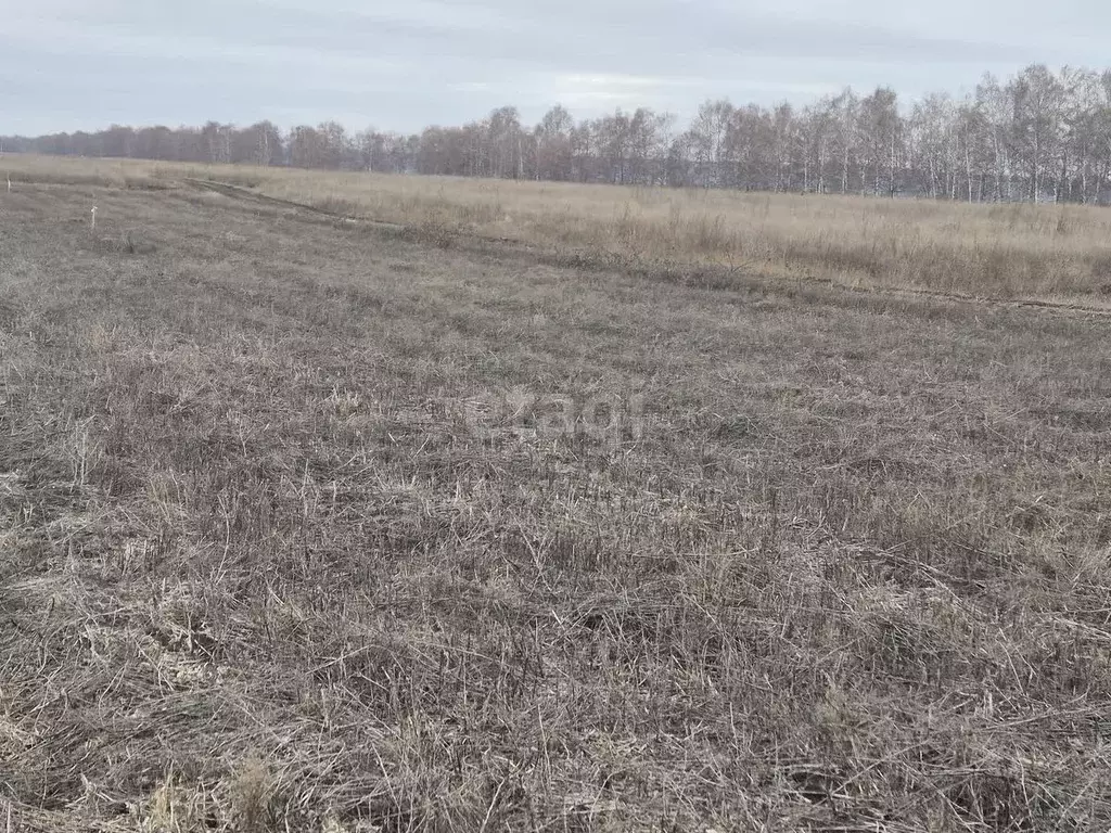 Участок в Белгородская область, Белгородский район, Хохловское с/пос, ... - Фото 1