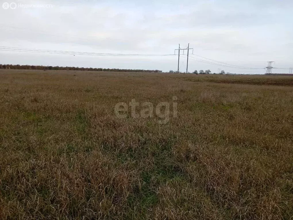 Участок в Журавское сельское поселение, село Тутовка, улица Берекет ... - Фото 1