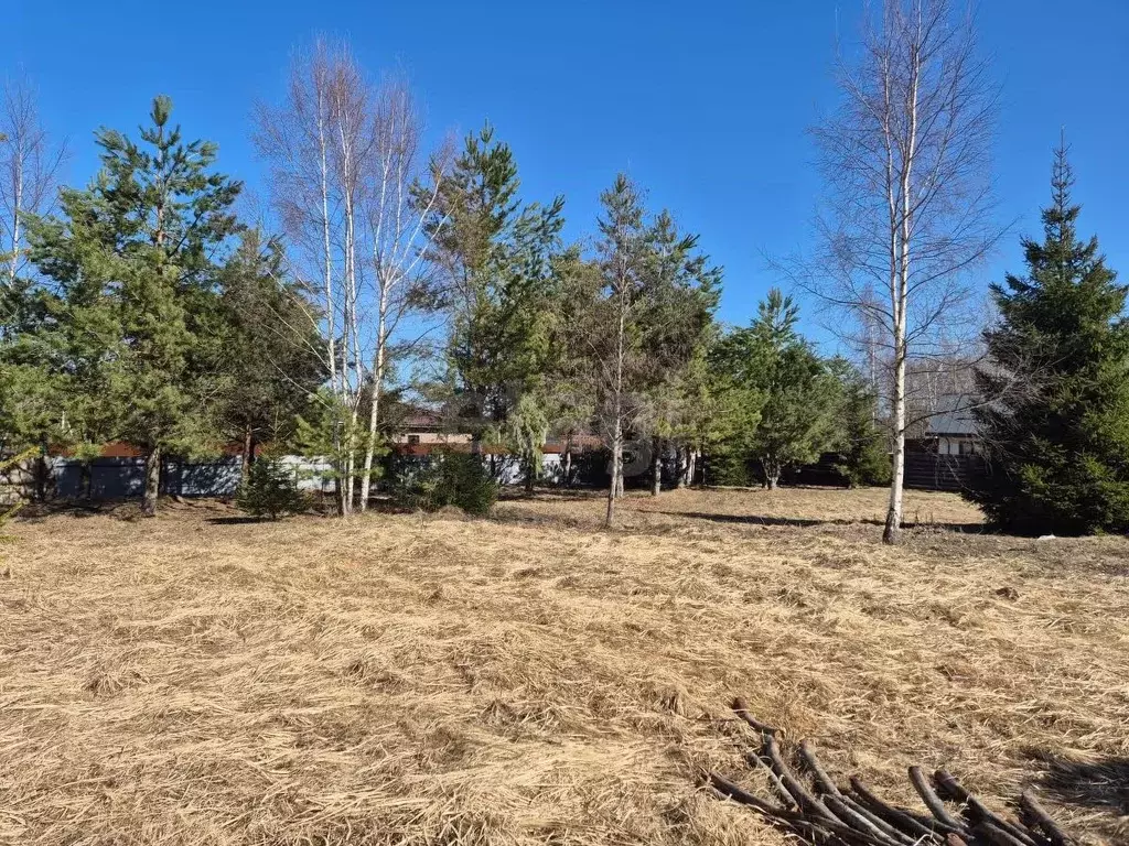 Участок в Тверская область, Калининский муниципальный округ, д. ... - Фото 1