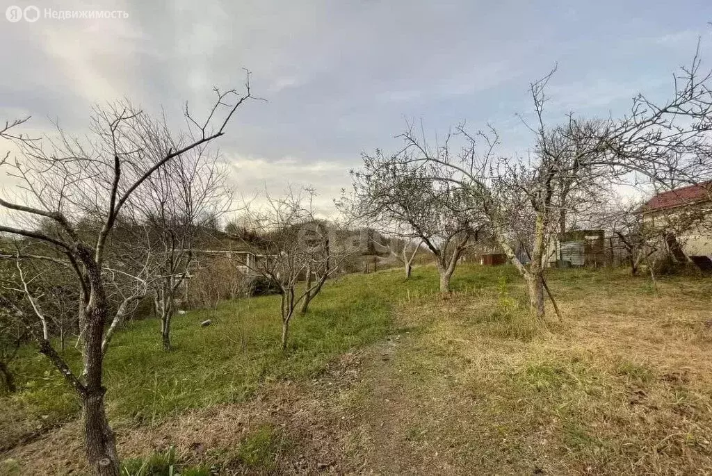 Участок в Краснодарский край, городской округ Сочи, село Хлебороб (5 ... - Фото 1