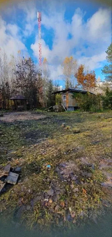 Участок в Ленинградская область, Гатчинский муниципальный округ, ... - Фото 2