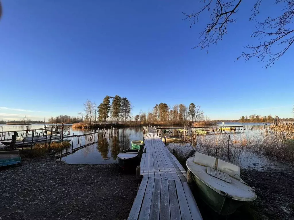 Участок в Ленинградская область, Приозерский район, Ларионовское с/пос ... - Фото 2