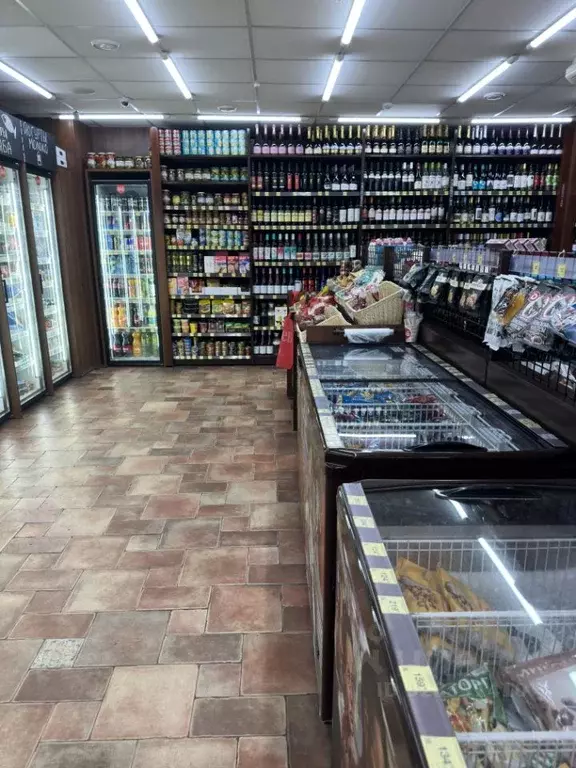 Помещение свободного назначения в Москва, Москва, Троицк ул. ... - Фото 2