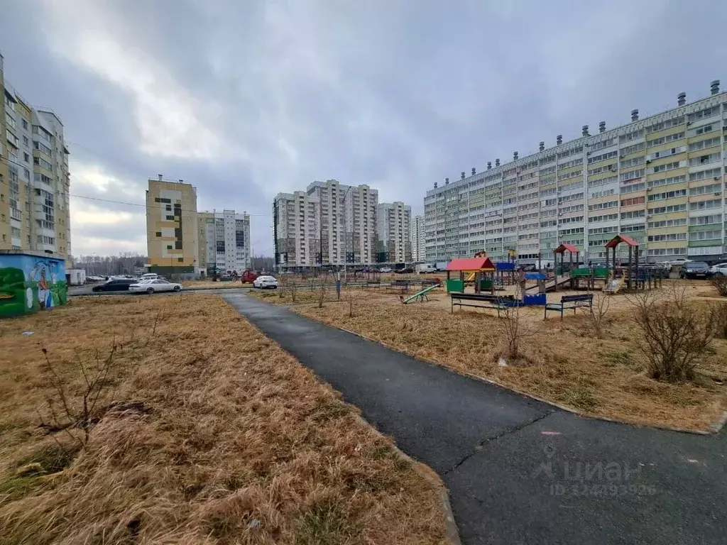 Студия Челябинская область, Челябинск ул. Петра Сумина, 18 (25.0 м) - Фото 1