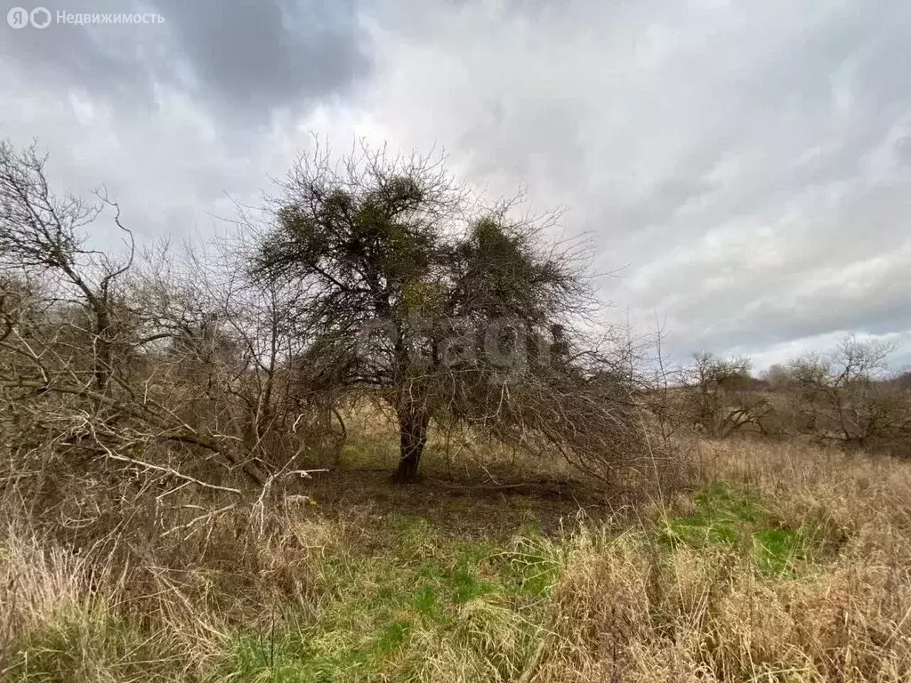 Участок в Калининградская область, Зеленоградск (7.68 м) - Фото 1