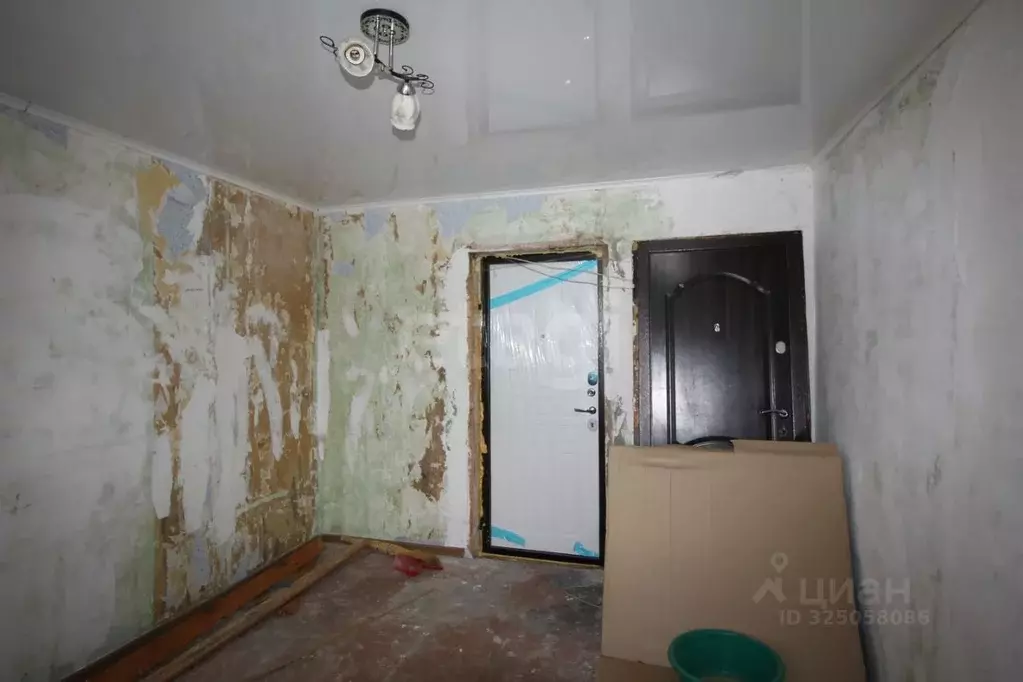 Комната Вологодская область, Шексна рп, Шексна Северная мкр ул. ... - Фото 1