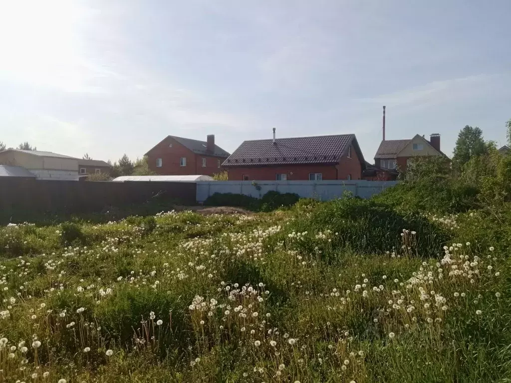 Участок в Московская область, Балашиха городской округ, с. Новый ... - Фото 1