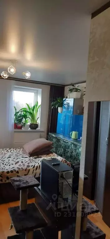 Квартира, 1 комната, 24.8 м - Фото 1