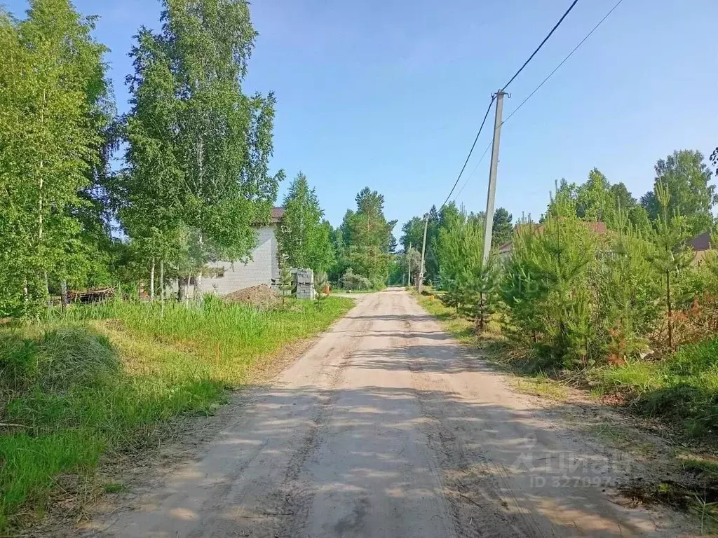 Участок в Тюменская область, Тюмень Ясень садовое товарищество, ул. ... - Фото 2