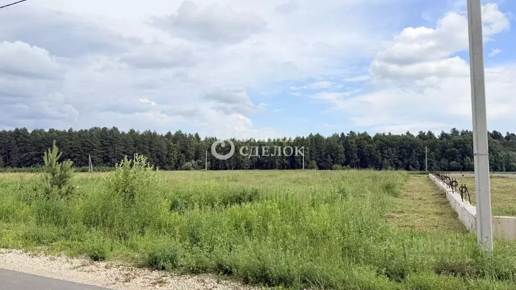 Участок в Владимирская область, Камешковский муниципальный округ, ... - Фото 1