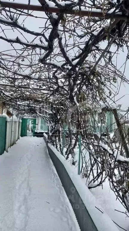 Дом в Воронежская область, с. Новая Усмань ул. Алексеевского, 55 (87 ... - Фото 2