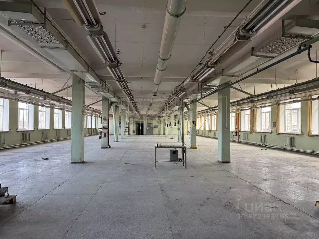 Склад в Брянская область, Брянск ул. Абашева, 19 (12000 м) - Фото 1