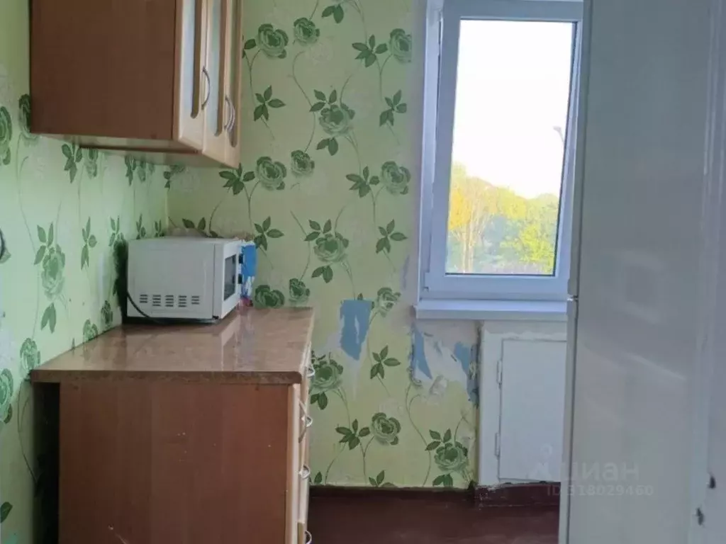 1-к кв. Калининградская область, Светлый Красноармейская ул. (29.4 м) - Фото 0