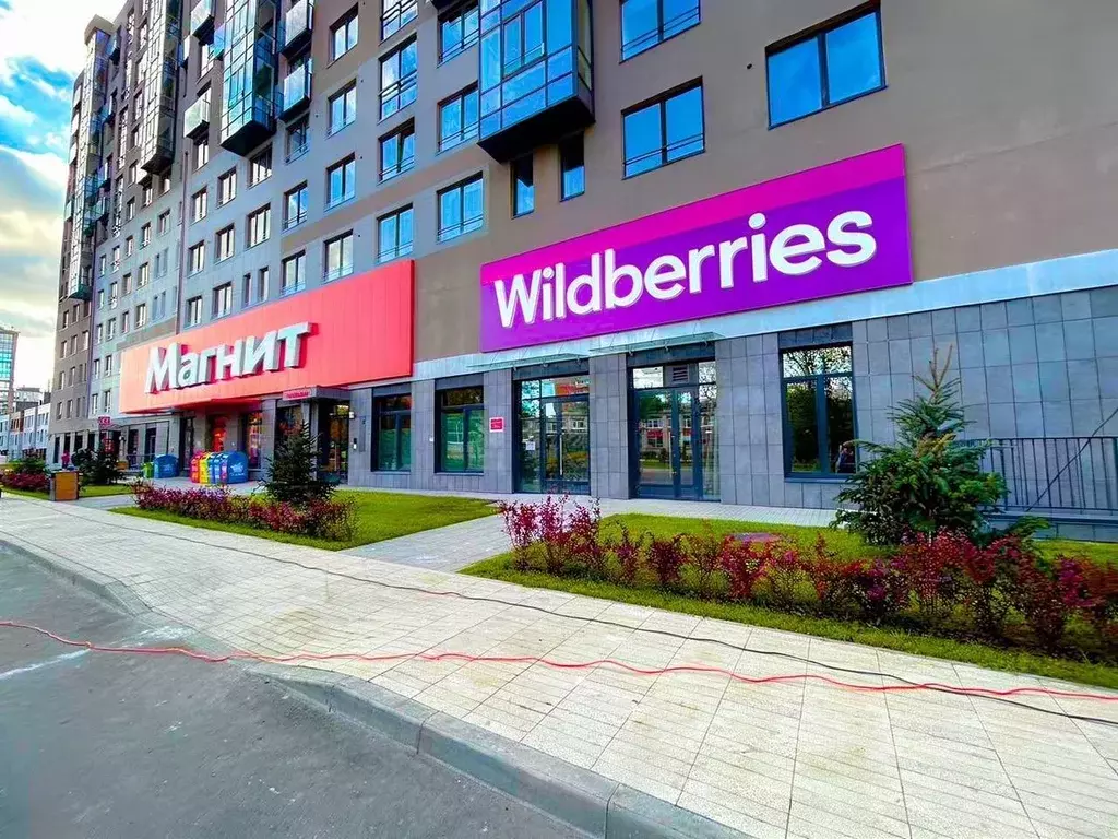 Помещение свободного назначения в Санкт-Петербург ул. Академика ... - Фото 1