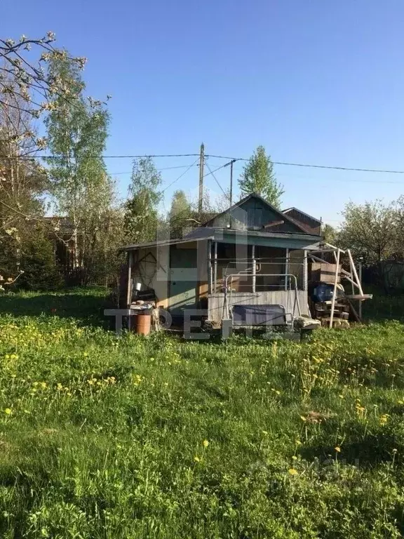 Участок в Санкт-Петербург Трансмаш СНТ, ул. Цветочная, 52 (5.0 сот.) - Фото 1