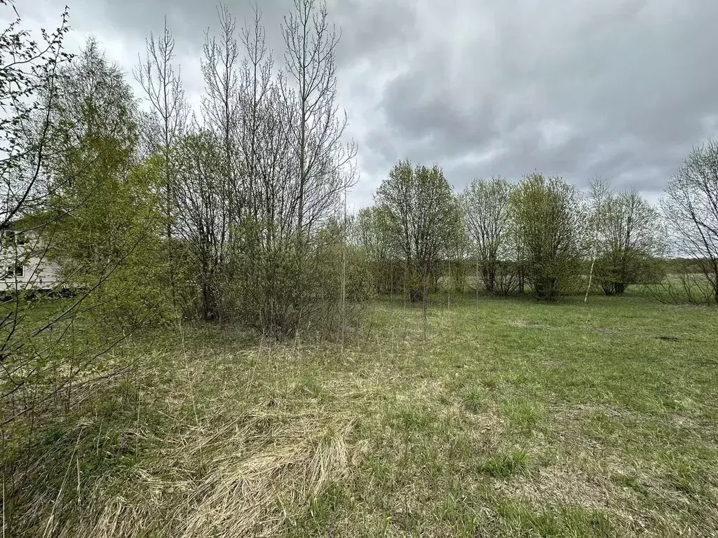 Участок в Московская область, Дмитровский муниципальный округ, ... - Фото 1