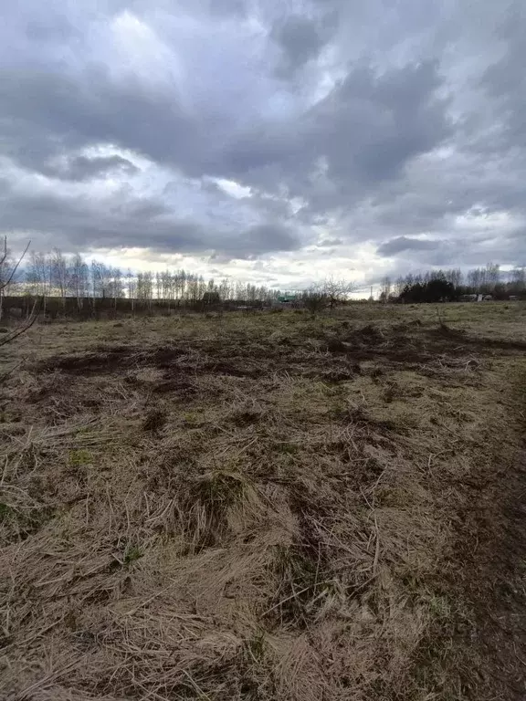 Участок в Тульская область, Тула городской округ, пос. Шатск  (14.68 ... - Фото 2