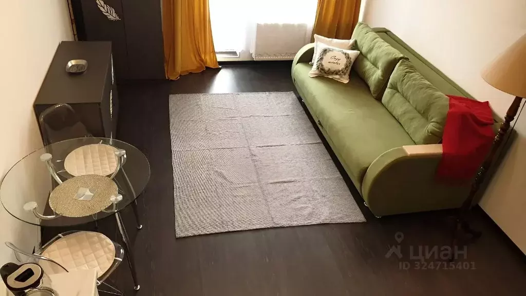 Студия Санкт-Петербург аллея Арцеуловская, 15 (27.62 м) - Фото 1