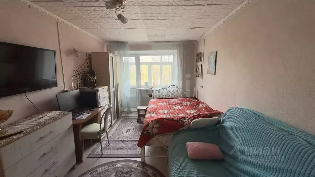 1-к кв. Челябинская область, Южноуральск ул. Куйбышева, 38 (29.5 м) - Фото 1