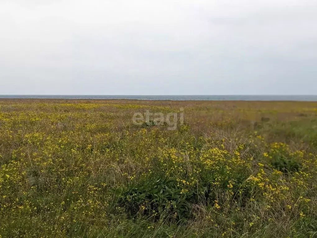 Участок в Крым, Черноморский район, с. Окуневка ул. Крупской (100.0 ... - Фото 1