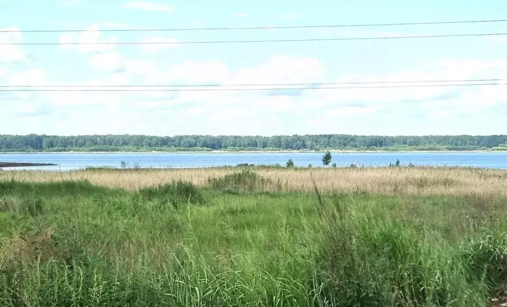 Участок в Челябинская область, Копейск Шахтер СНТ,  (11.0 сот.) - Фото 1