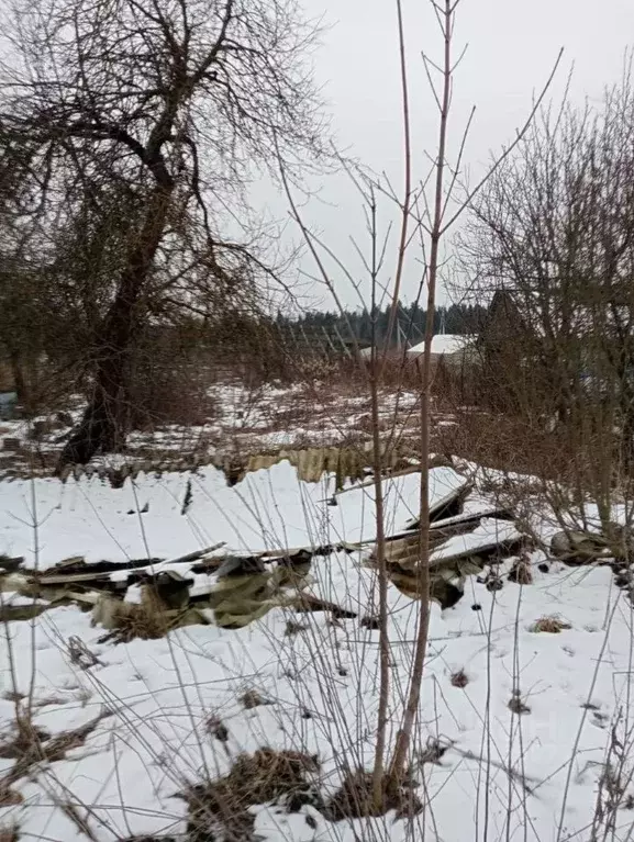 Дом в Московская область, Рузский муниципальный округ, Усадково СНТ 21 ... - Фото 1