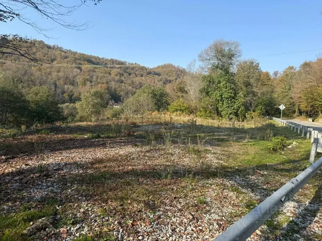 Участок в Краснодарский край, Сочи городской округ, Дагомыс пгт ш. ... - Фото 2