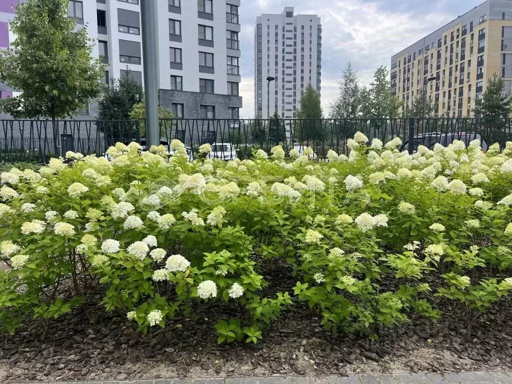 Студия Тюменская область, Тюмень ул. Николая Ростовцева, 24 (27.4 м) - Фото 0