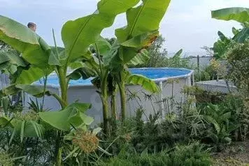 Дом в Краснодарский край, Сочи пос. Лоо, пер. Разина, 12 (100 м) - Фото 1