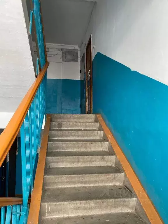 3-к кв. Омская область, Омск Загородный мкр, 8 (59.7 м) - Фото 2