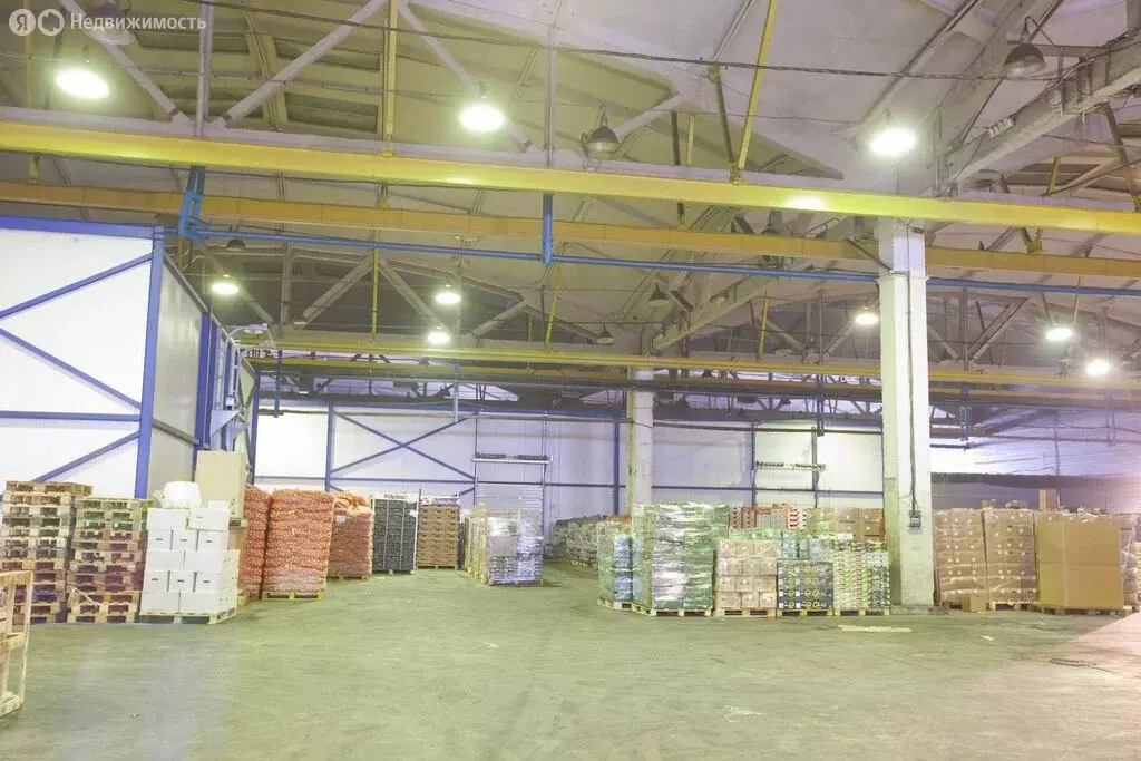 Производственное помещение (2850 м) - Фото 2