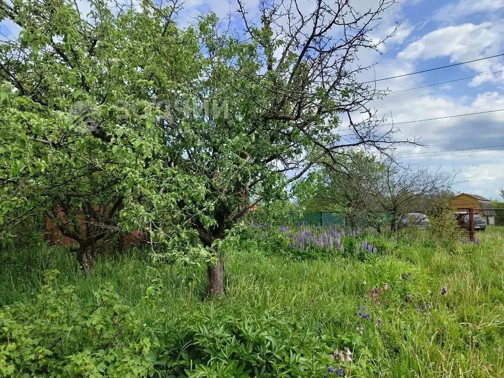 Дом в Чувашия, Канаш ул. Толстого, 35 (33 м) - Фото 2
