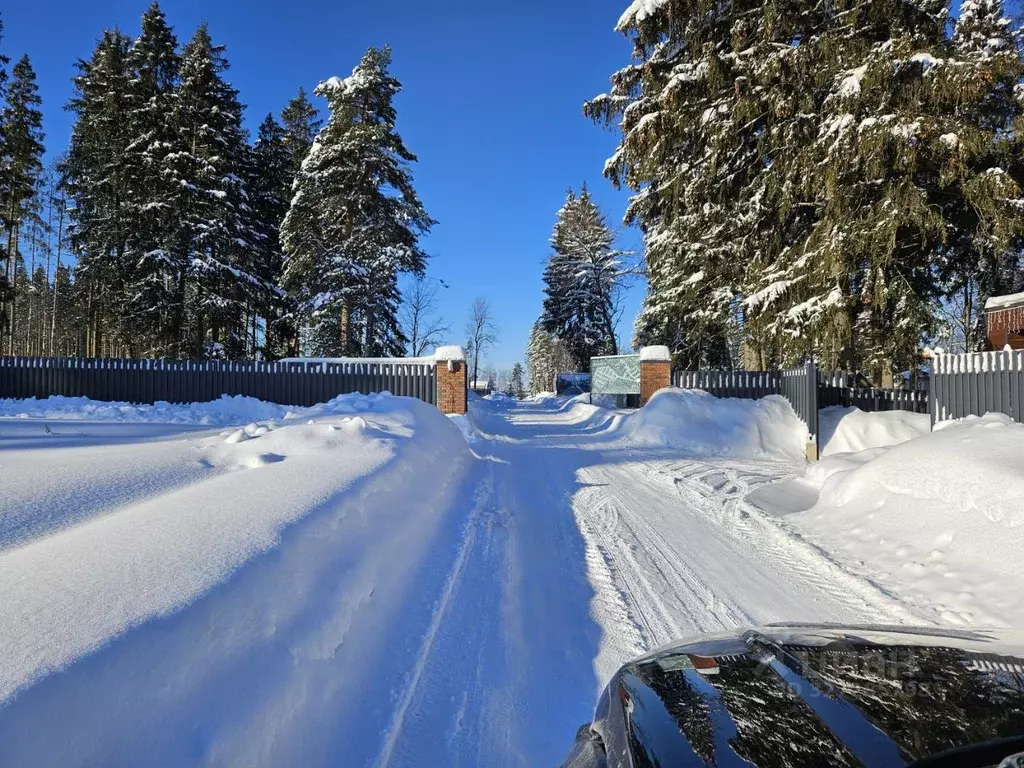 Участок в Московская область, Химки Октябрьский ДПК, туп. ... - Фото 1