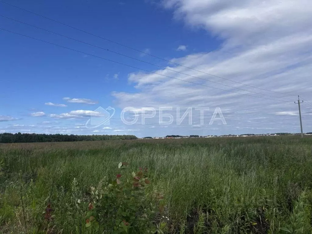Участок в Тюменская область, Тюменский район, с. Горьковка Сибирская ... - Фото 1