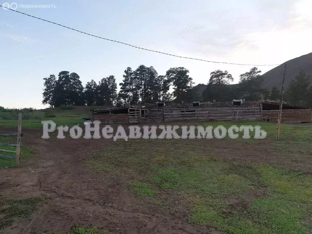 Участок в Республика Тыва, Улуг-Хемский кожуун, село Хайыракан (208 м) - Фото 1