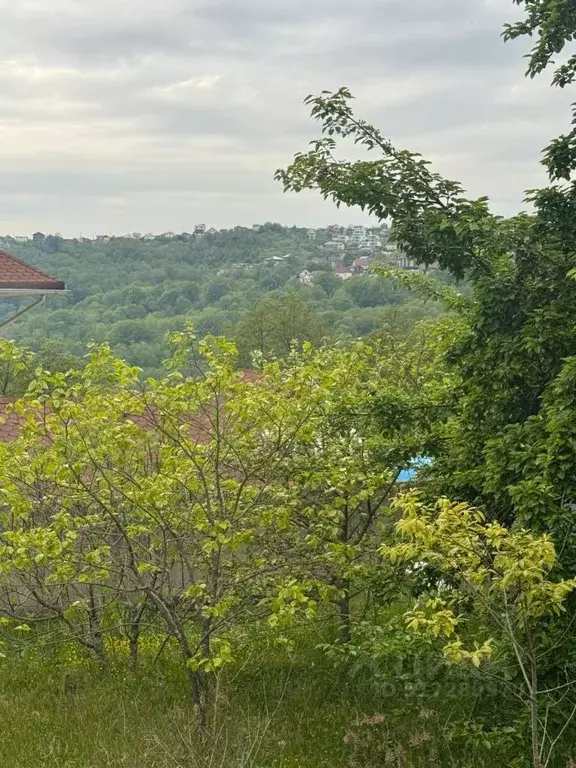 Участок в Краснодарский край, Сочи городской округ, с. Васильевка ул. ... - Фото 1