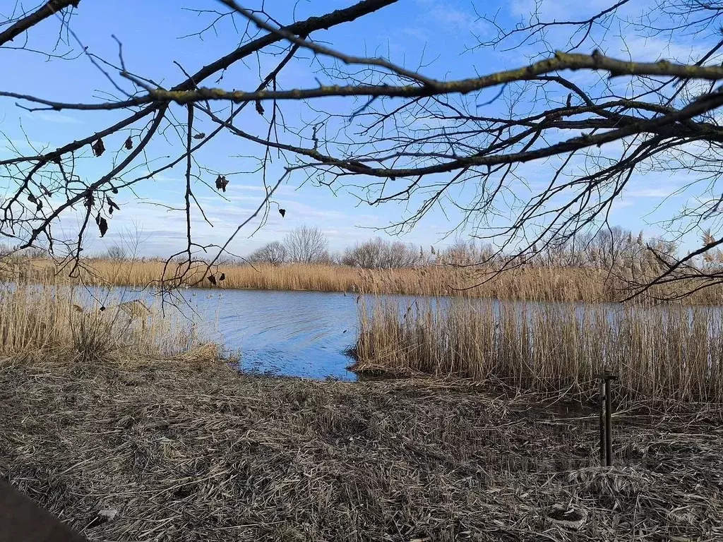 Участок в Ростовская область, Аксай ул. Лермонтова, 35 (14.0 сот.) - Фото 1
