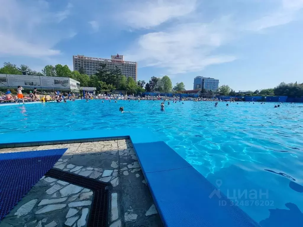 1-к кв. Краснодарский край, Сочи ул. Ленина, 290/7к6 (27.0 м) - Фото 2