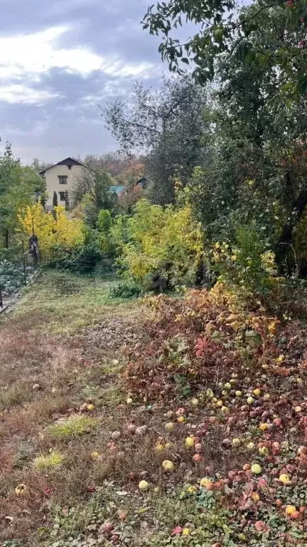 Участок в Липецкая область, Липецк Верхняя ул., 57А (12.2 сот.) - Фото 2