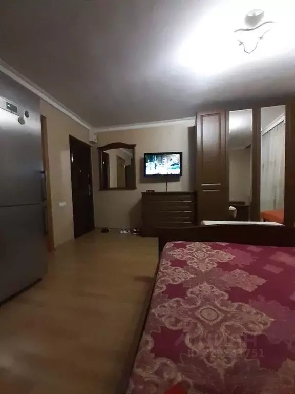 Студия Северная Осетия, Владикавказ просп. Коста, 275 (30.0 м) - Фото 2