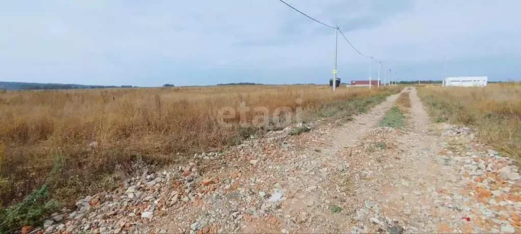 Участок в Воронежская область, Семилукский район, с. Девица ул. ... - Фото 1