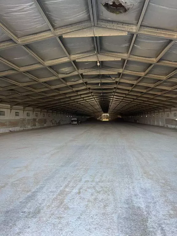 Склад в Краснодарский край, Крымск ул. Карла Либкнехта, 5 (2000 м) - Фото 1