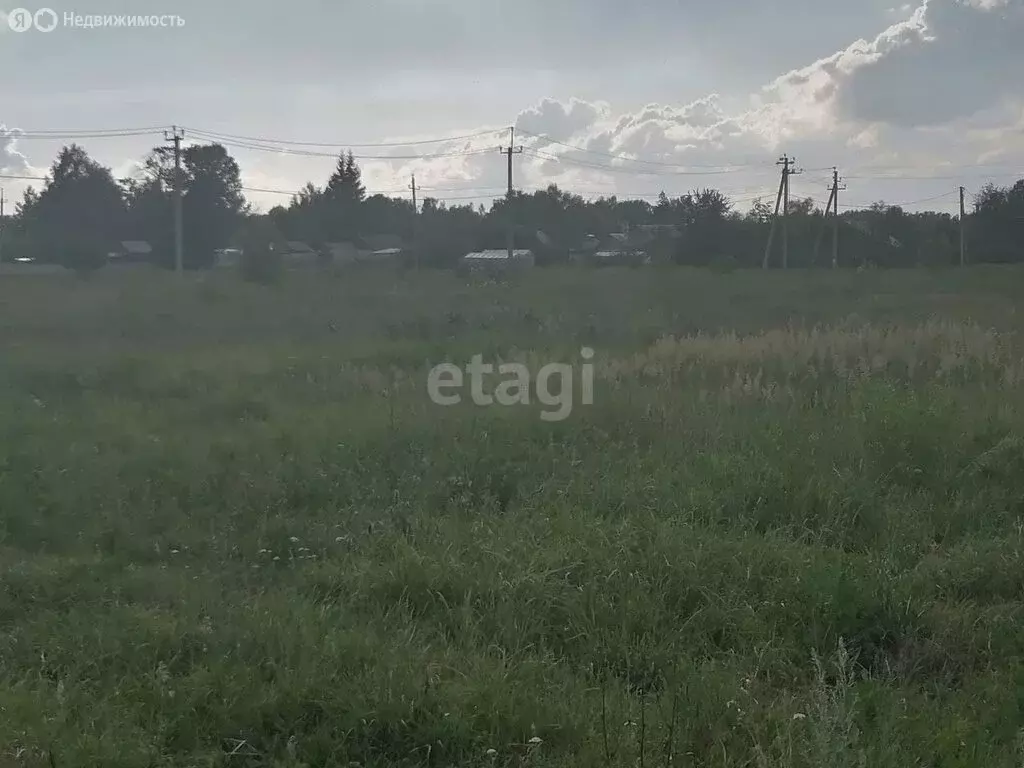 Участок в Нижегородская область, Володарский муниципальный округ, ... - Фото 0