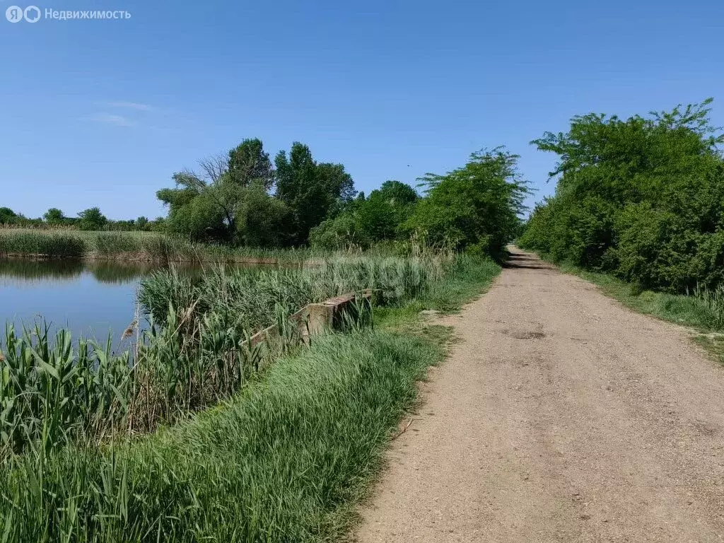 Участок в Кореновский район, хутор Пролетарский (25.4 м) - Фото 1