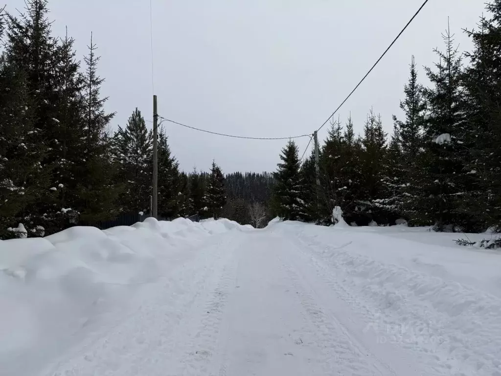 Участок в Пермский край, Пермский муниципальный округ, д. Кулики ул. ... - Фото 2