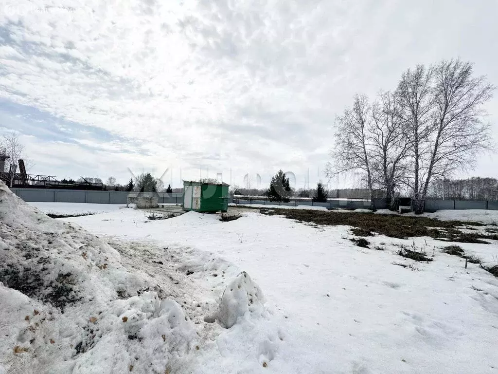 Участок в Новосибирский район, село Ярково (8.14 м) - Фото 1