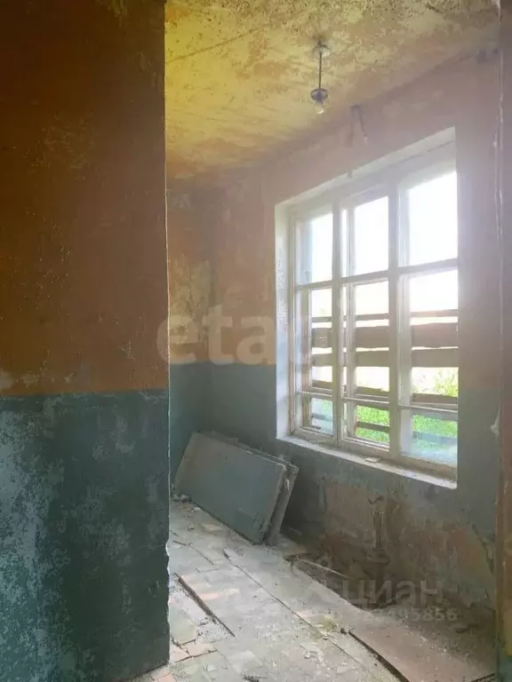 Помещение свободного назначения в Вологодская область, Междуреченский ... - Фото 2