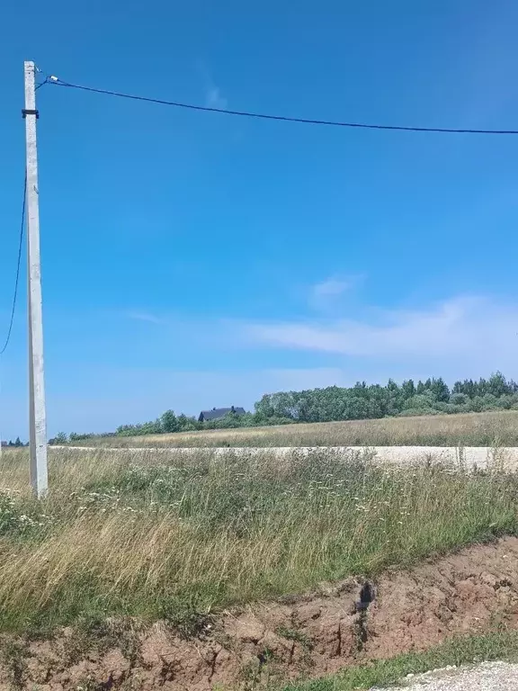 Участок в Новгородская область, Новгородский район, Ракомское с/пос, ... - Фото 1