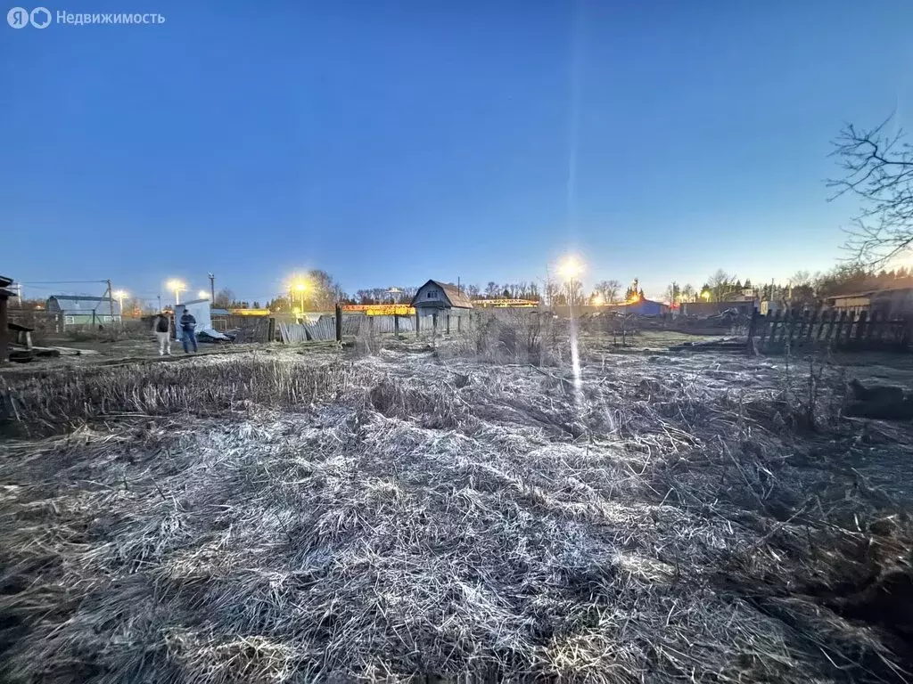 Участок в Вологодский муниципальный округ, садоводческое товарищество ... - Фото 2