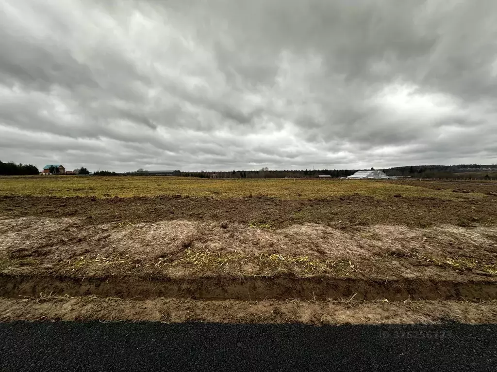 Участок в Московская область, Дмитровский муниципальный округ, с. ... - Фото 2